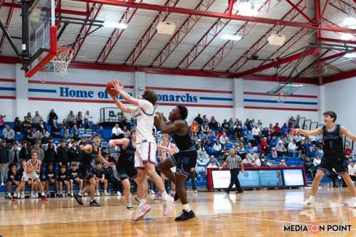 20260113-DSC00406-DxO DeepPRIME-XD2s