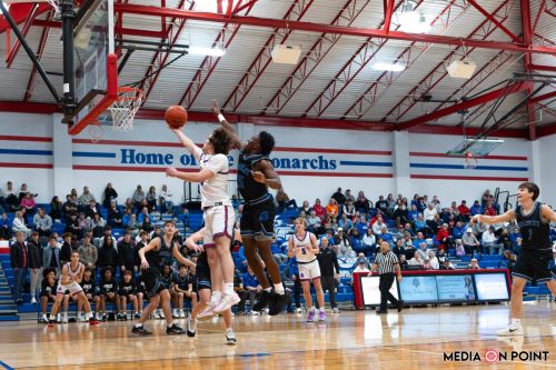 20260113-DSC00407-DxO DeepPRIME-XD2s