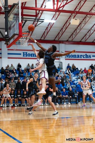 20260113-DSC00408-DxO DeepPRIME-XD2s