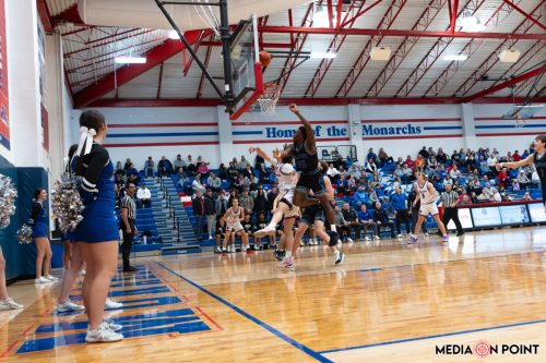 20260113-DSC00409-DxO DeepPRIME-XD2s