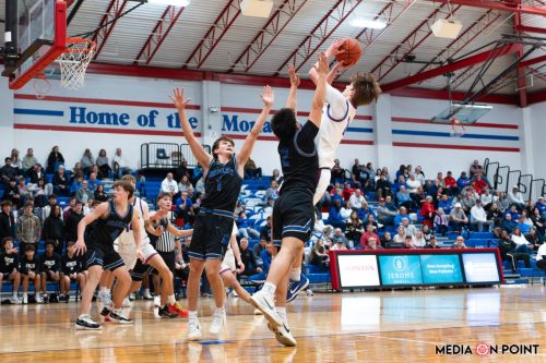 20260113-DSC00431-DxO DeepPRIME-XD2s