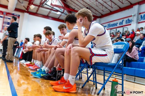 20260113-DSC00565-DxO DeepPRIME-XD2s