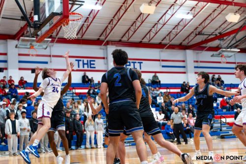 20260113-DSC00572-DxO DeepPRIME-XD2s