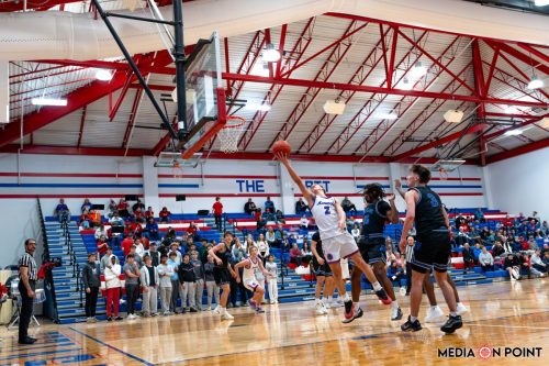 20260113-DSC00582-DxO DeepPRIME-XD2s