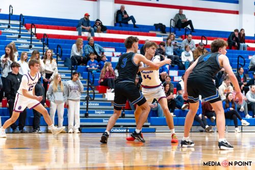 20260113-DSC00617-DxO DeepPRIME-XD2s