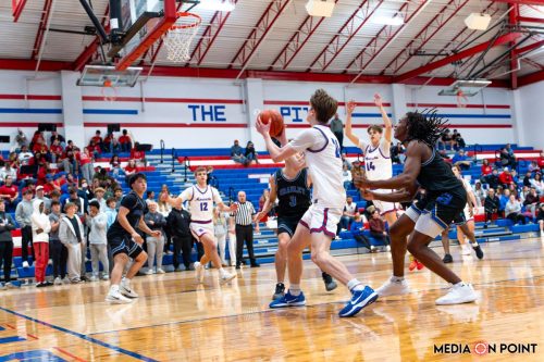 20260113-DSC00643-DxO DeepPRIME-XD2s