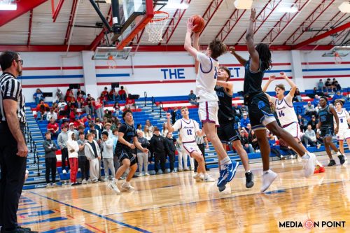 20260113-DSC00644-DxO DeepPRIME-XD2s