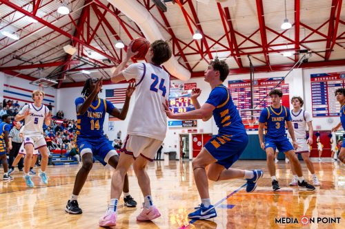 olentangy  DSC07789-DxO DeepPRIME-XD2s XD